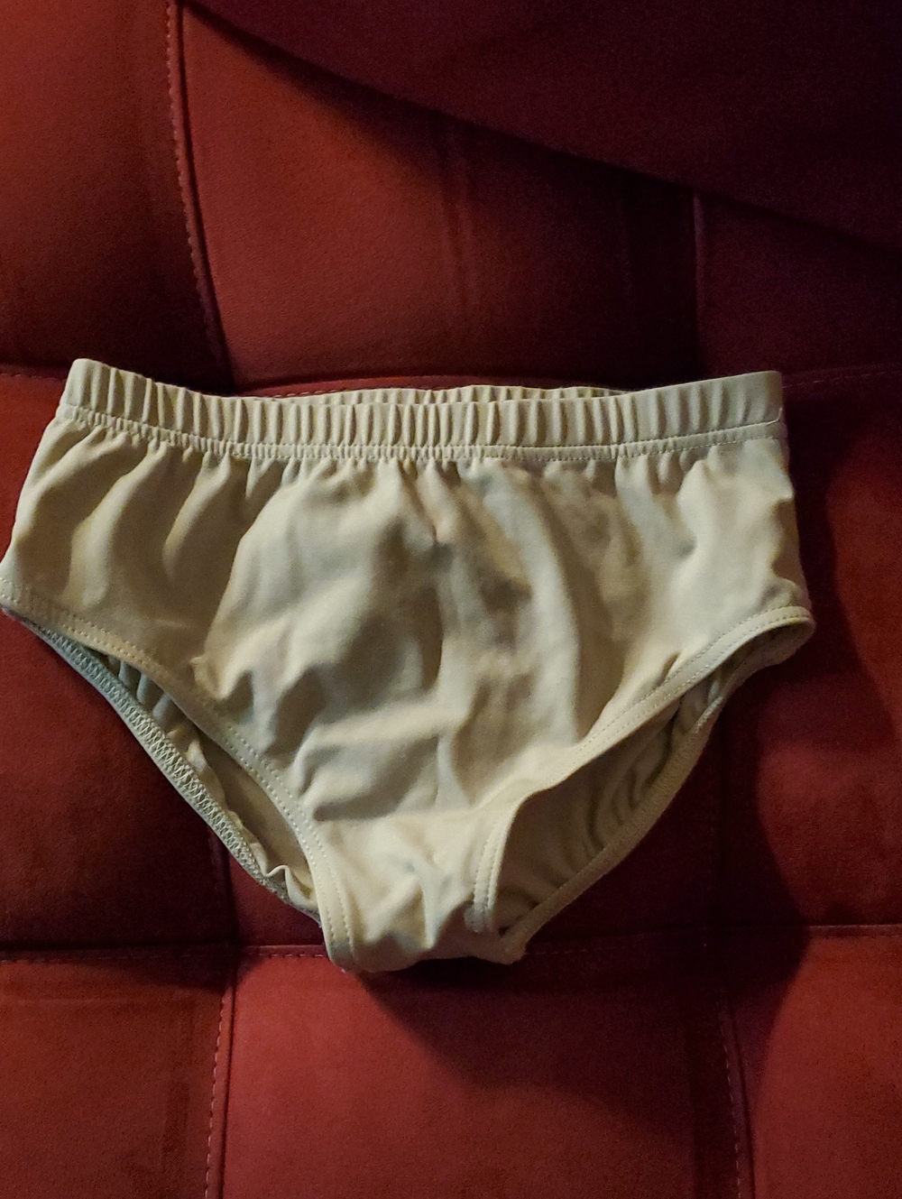 Dance Briefs -Nude/Beige
